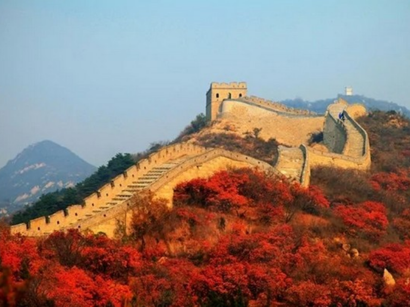 bất dáo trường thành phi hảo hán 4 