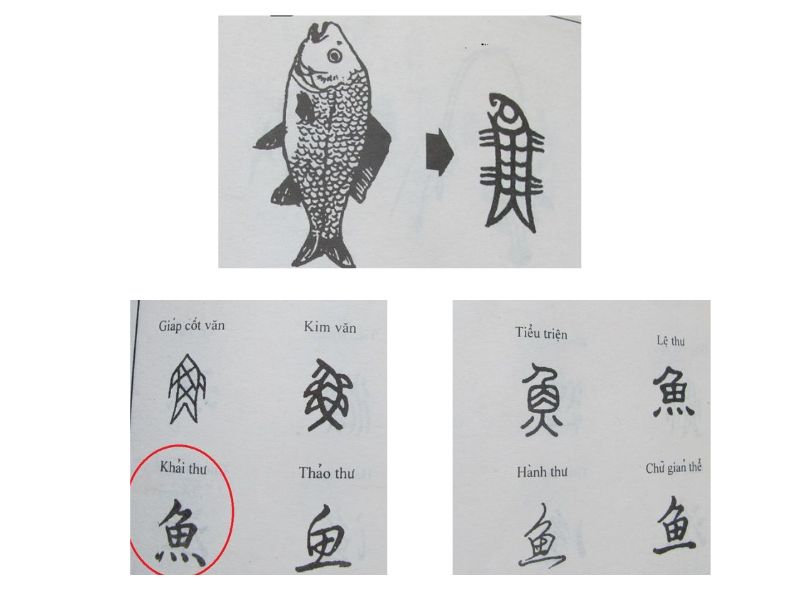 cach-nho-mat-chu-tieng-trung