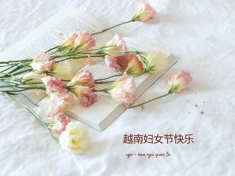 Lời chúc 20.10 bằng tiếng Trung 7