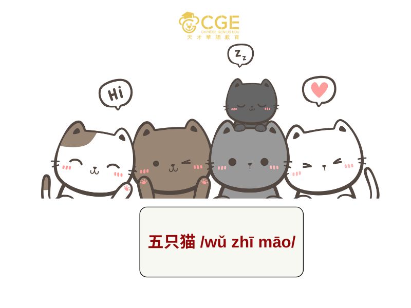 Ngữ pháp tiếng Trung HSK1 4