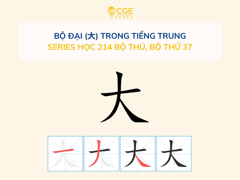 Bộ Đại (大) Trong Tiếng Trung - Series học 214 bộ thủ, Bộ thứ 37