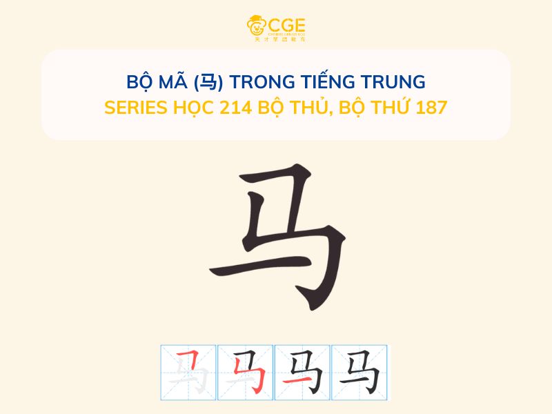 Bộ Mã (马) Trong Tiếng Trung - Series học 214 bộ thủ, Bộ thứ 187
