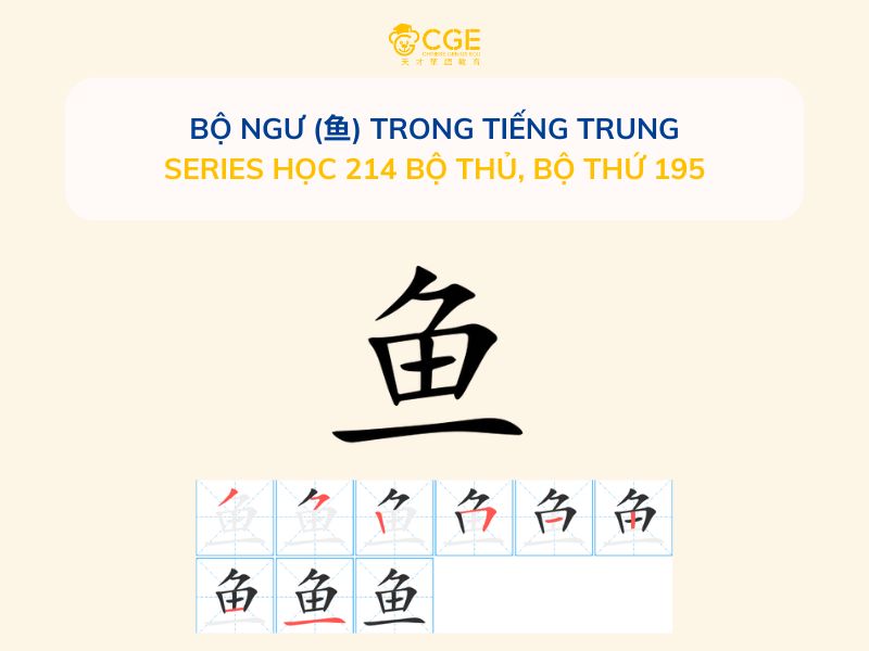 Bộ Ngư (鱼) trong tiếng Trung - Series học 214 bộ thủ, Bộ thứ 195
