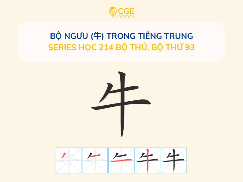 Bộ Ngưu (牛) trong tiếng Trung- Series học 214 bộ thủ, Bộ thứ 93