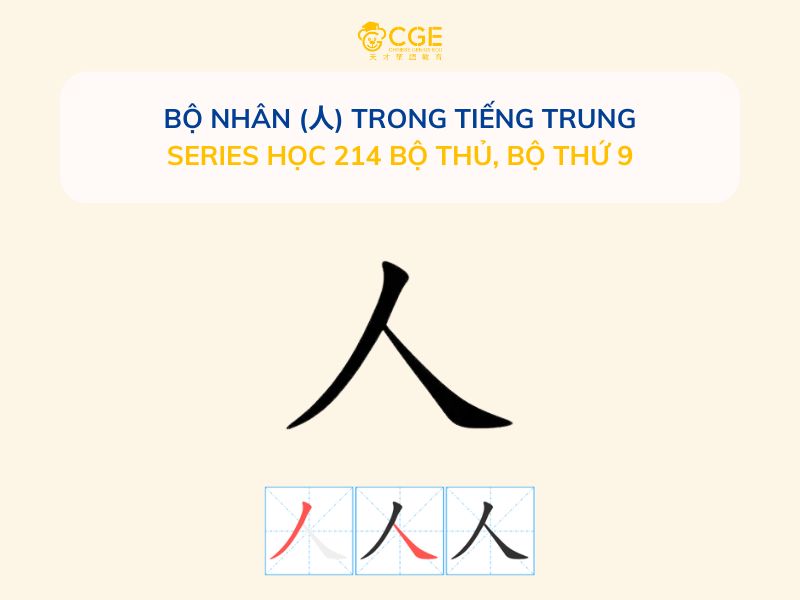 Bộ Nhân (人) trong tiếng Trung - Series học 214 bộ thủ, Bộ thứ 9