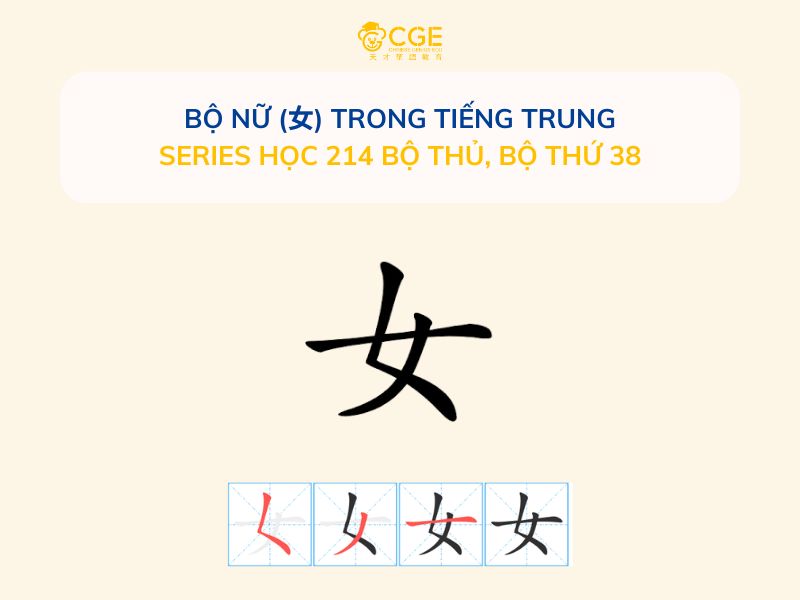 Bộ Nữ (女) trong tiếng Trung - Series học 214 bộ thủ, Bộ thứ 38