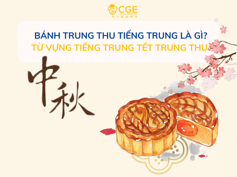 BÁNH TRUNG THU TIẾNG TRUNG LÀ GÌ? TỪ VỰNG TIẾNG TRUNG VỀ TẾT TRUNG THU 